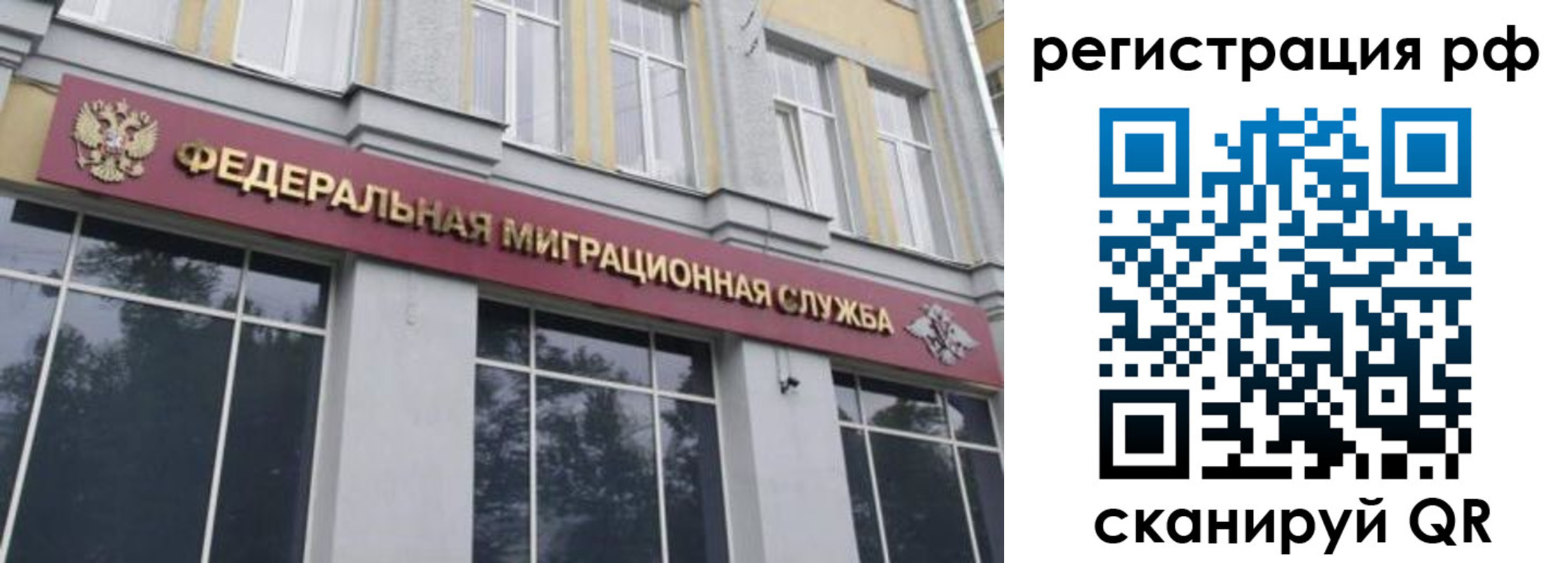 прописка законно в Реутове